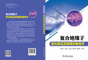 复合绝缘子老化表征及微观诊断技术