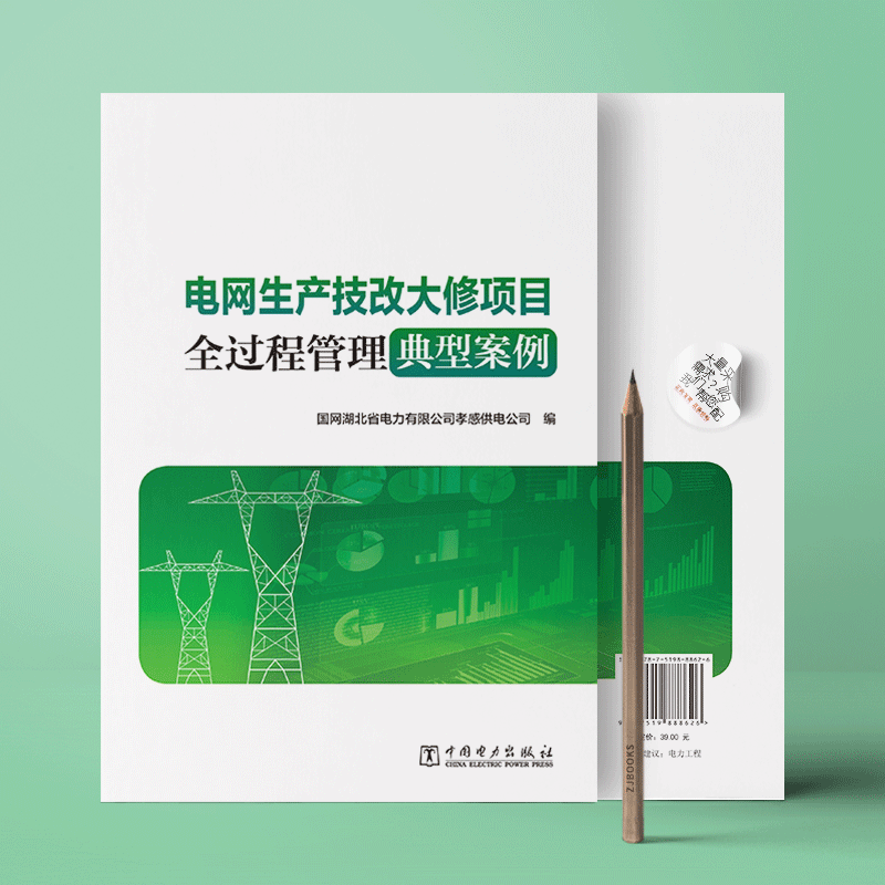 电网生产技改大修项目全过程管理典型案例