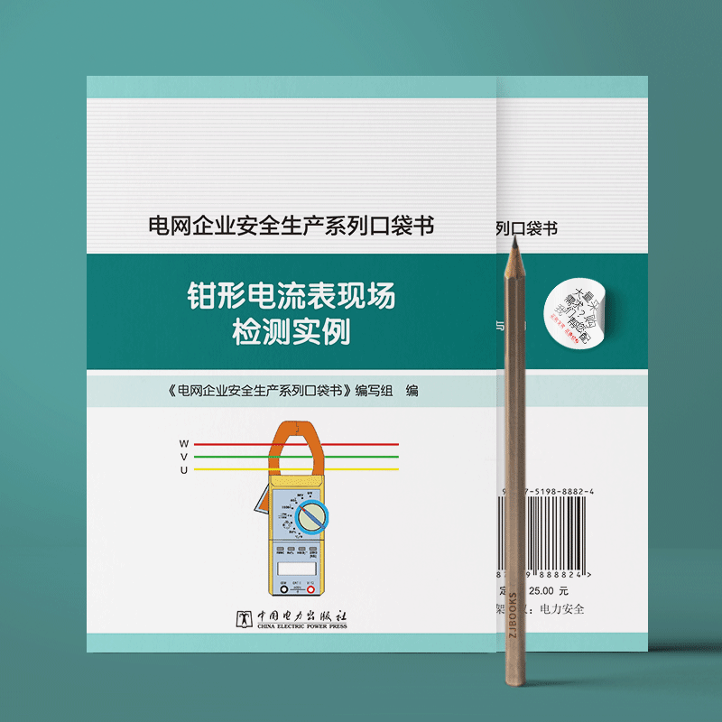 电网企业安全生产系列口袋书 钳形电流表现场检测实例
